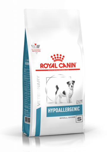 Hypoallergenic small dog 3,5 kg