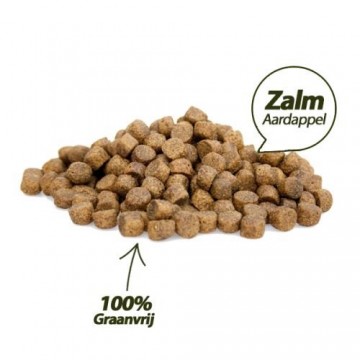 Krokante brok zalm en aardappel