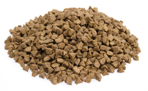 kattenvoer Kat Indoor