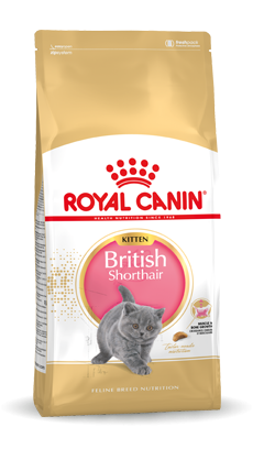 Royalcanin british shorthair kitten kitten kat brits korthaar