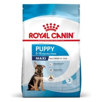 Royalcaninpuppymaxi