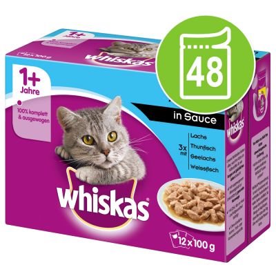 Bederven Plakken oase Whiskas 1+ 48 x 100g - Voordelig Hondenvoer en Kattenvoer